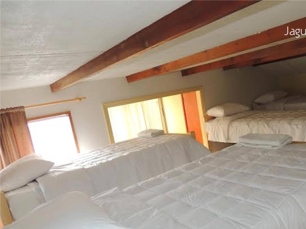 Hostel Jaguar Vina del Mar Rum bild